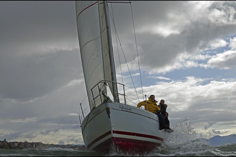 Yacht Race with Force Seven Wind